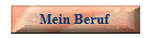 Mein Beruf